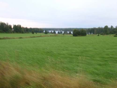 Low light motion picture of a passing lake.